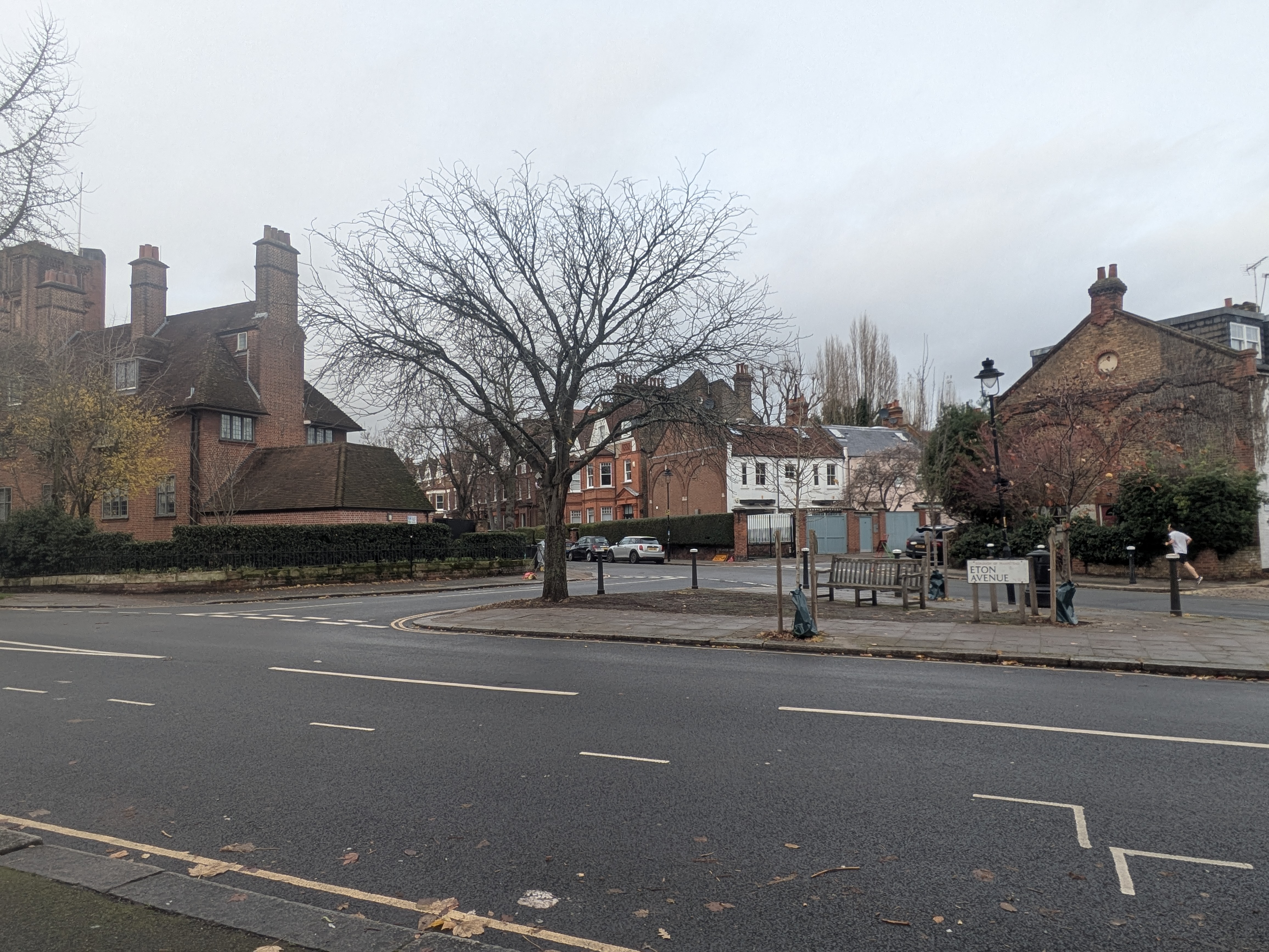 The street in winter with some trees