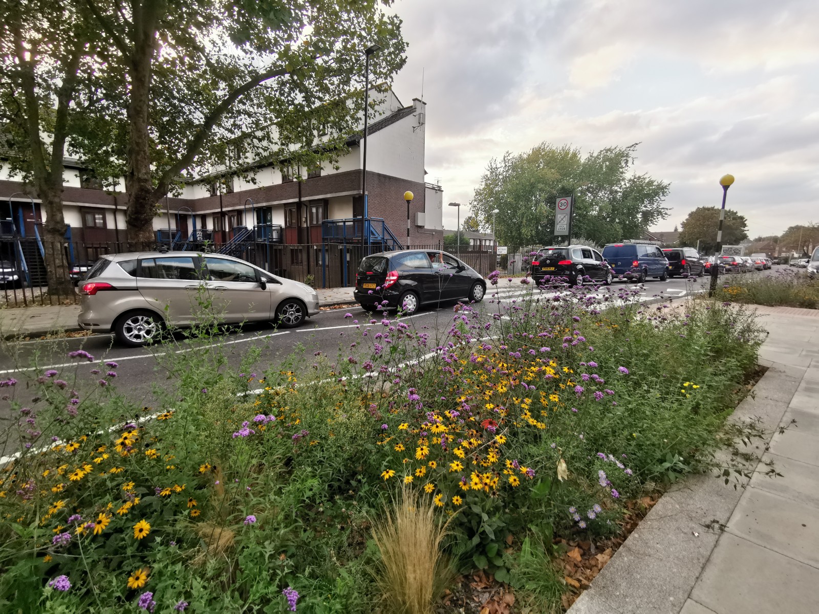 Planting in the pavement with flowers 