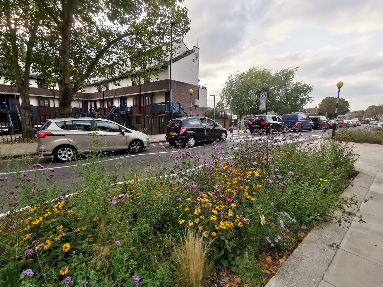 A flower bed is set into the widened pavement filled with different plants and flowers