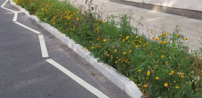 Planting within the pavement