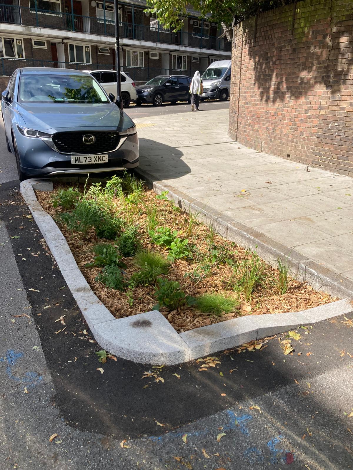Planting in an area next to the pavement 